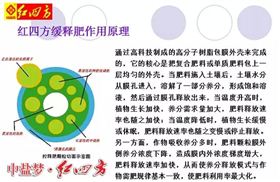 萬萬沒想到，他們才是紅四方三大新品肥的幕后專家