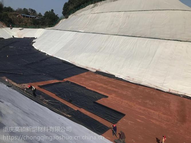 昆明土工膜廠家直銷重慶墊江——高碩新型膜材料批發(fā)，助力工程防滲新升級(jí)